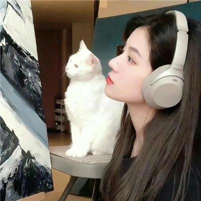 贺先生又在哄他的白月光了